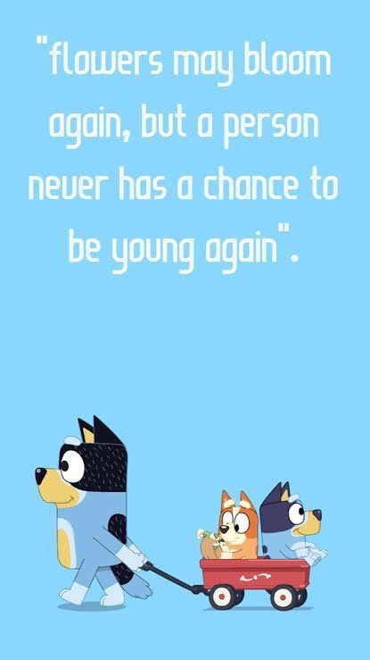 Bluey Quote, Bingo Quotes, Bingo Funny, Baby News, Screen Saver, Third Birthday, 4th Birthday Parties, Disney Quotes, 3rd Birthday Parties