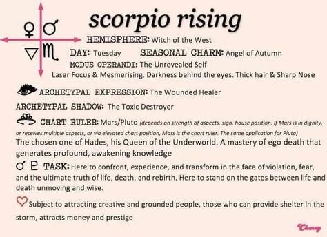 Libra Sun Scorpio Moon, Mars Astrology, Scorpio Ascendant, Personality Chart, My Birth Chart, Rising Signs, Libra Sun, Astrology Charts, Wounded Healer