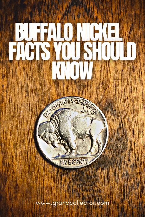 One of the most beautiful coins in my opinion is the Buffalo Nickel! In this article, we'll take a closer look at this coin and its history! Make sure to check to article out to know more! Buy Coins, American Coins, Valuable Coins, Buffalo Nickel, Coin Values, Coins Worth Money, Indian Head, Coin Worth, Vintage Things