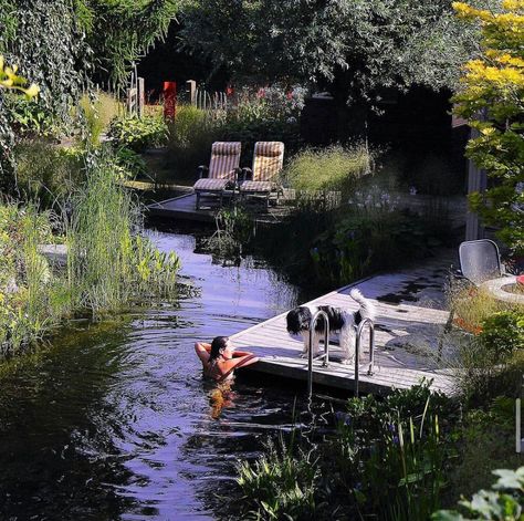 SL on Instagram: “A natural swimming pond garden in the Netherlands… Ft. a good floofy boi 🐾 By @noelvanmierlo for @gestalten . . . . . #gardenofeden…” Swimming Pond, Natural Swimming Pool, Natural Pool, Gorgeous Gardens, Summer Dream, Dream Garden, My New Room, Summer House, Future House