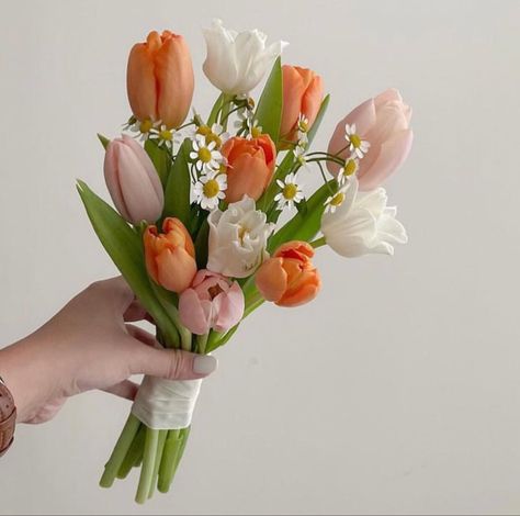 Tulip Bouquet Wedding, Tulip Bridal Bouquet, Small Wedding Bouquets, Wedding Flowers Tulips, Simple Wedding Bouquets, Flower Boquet, Tulip Wedding, Spring Wedding Bouquets, Bridal Bouquet Flowers