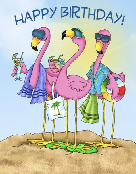 Flamingo Happy Birthday, Flamingo Funny, Birthday Flamingo, Birthday Wishes Pics, Funny Happy Birthday Wishes, Birthday Greetings Friend, Funny Flamingo, Happy Birthday Art, Happy Birthday Greetings Friends