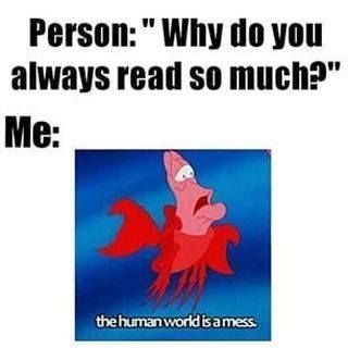 #reading #books #novels #bookish #bookworm #booknerd #bookclub #booklovers #bookmemes Book Nerd Problems, Book Jokes, Book Memes, Disney Funny, Book Humor, Book Fandoms, Really Funny Memes, I Love Books, Book Of Life