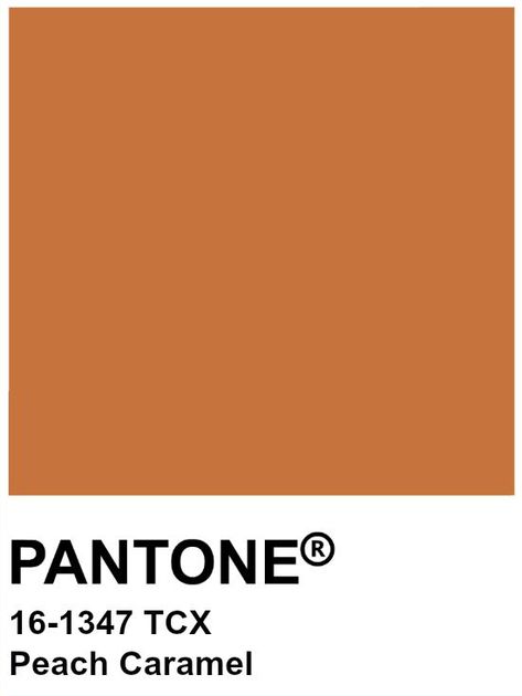 Peach Caramel, Orange Pantone, Coffee Today, So Weird, Caramel Color, Color Analysis, Burnt Orange, True Colors, Caramel