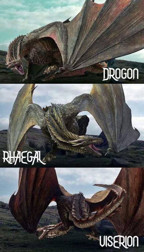 Dessin Game Of Thrones, Drogon Game Of Thrones, Game Of Thrones Tattoo, Game Of Thrones Facts, Game Of Thrones Poster, Trendy Games, Game Of Thrones Artwork, Tattoo Dragon, Game Of Thrones Dragons