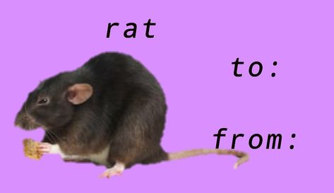 To From Cards Funny, Rat Valentines Day Card, Valentine Meme Cards Funny, Valentines Day Meme Cards Funny, Platonic Valentines Cards, Valentine’s Day Meme, Bad Valentines Cards Funny, Valentine’s Day Memes, Tumblr Valentines Cards