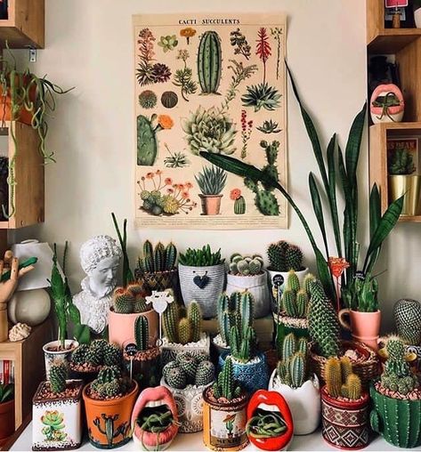 Kaktus Dan Sukulen, Indoor Succulents, نباتات منزلية, Plant Decor Indoor, Succulents Indoor, Plant Aesthetic, House Plants Decor, Room With Plants, Cactus Y Suculentas