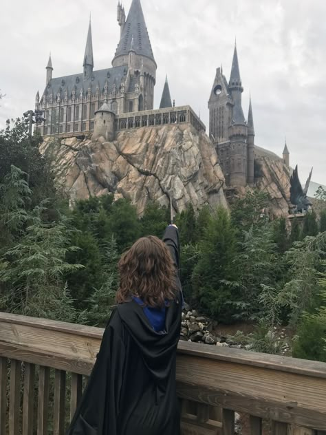 Harry Potter Park, Hogsmeade Village, Disney Hogwarts, Harry Potter Castle, Disney Parque, Harry Potter Universal Studios, Ravenclaw Aesthetic, Harry Potter Studios, School Of Witchcraft