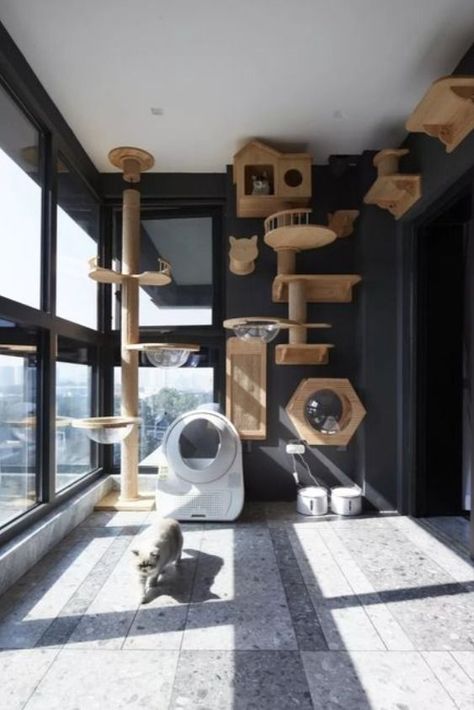 Love. Comfort. Luxury. Barkitecture. These are the pet room ideas for dogs and cats deserving nothing less than the best. Room Ideas For Dogs, Pet Room Ideas, Dog Room Design, Pet Room Decor, Luxury Cat Furniture, Pet Room, Ideas For Dogs, Pallet Furniture Living Room, Futuristic Furniture