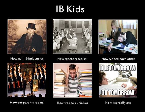 Ib Students, Ib Classroom, School Sucks, International Baccalaureate, College Writing, Student Problems, Best Essay Writing Service, Student Humor, Quotes Instagram