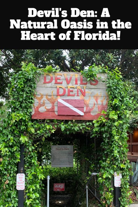 Devil's Den is a hidden gem in the heart of Florida that should not be missed. This natural oasis promises a one-of-a-kind experience for nature lovers and adventure seekers alike! Plan your visit today and experience the beauty and serenity of Devil's Den for yourself! Devils Den Florida, Hidden Gems In Florida, Florida Flamingo, Florida Adventures, Road Trip Games, Florida Springs, Spring Park, Clear Blue Water, Cool Themes