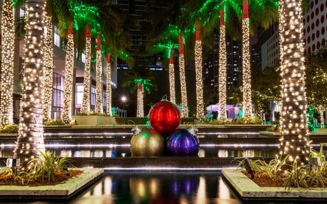 The whole family can get into the holiday spirit in Miami even though the weather is warm and sunny and Santa doesn't really need his sleigh. Miami Images, Florida Holiday, Christmas Stock Photos, Florida Christmas, Christmas Concert, Christmas Tours, Colonial Christmas, Christmas Events, Holiday Events