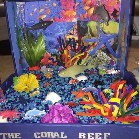 Coral Reef ecosystem shoebox project Ecosystem Shoebox Project, Ocean Habitat Diorama, Coral Reef Biome, Ecosystems Diorama, Ecosystem Project, Shark Habitat, Handprint Artwork, Habitat Diorama, Shoebox Project