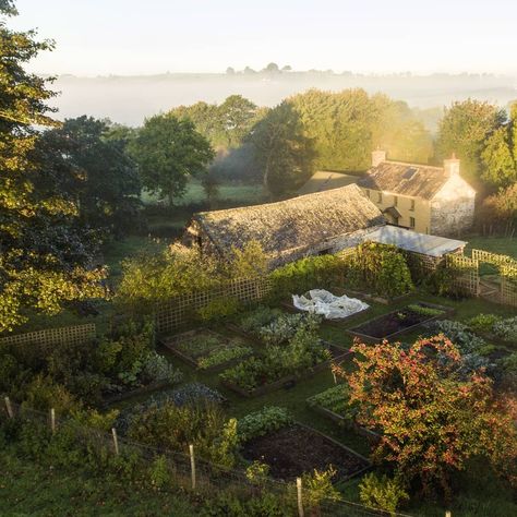 Huw Richards Garden, Rural Aesthetic, Egg Farm, Serene Garden, Cute Little Houses, Garden Bugs, Home Grown Vegetables, Big Breakfast, Quaint Cottage