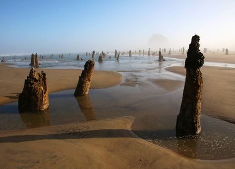 The 30 best beaches on the Oregon coast – Here is Oregon - hereisoregon.com Oregon Dunes, Depoe Bay, Southern Oregon Coast, Ecola State Park, After Everything, Painted Hills, Pacific City, Driftwood Beach, Quiet Beach