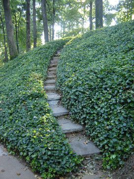 Ivy-so calming and a great ground cover. Tradition! Pavers Backyard, Mindoro, Stone Steps, Garden Stairs, Hillside Landscaping, Sloped Garden, Garden Steps, Easy Landscaping, Outdoor Stairs