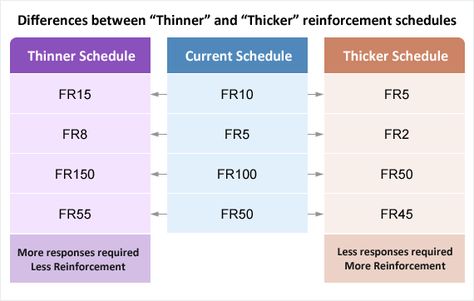 Schedules Of Reinforcement, Aba Notes, Aba Strategies, Rbt Exam, Aba Training, Bcba Exam, Aba Therapy Activities, Psychology Professor, Behavior Technician