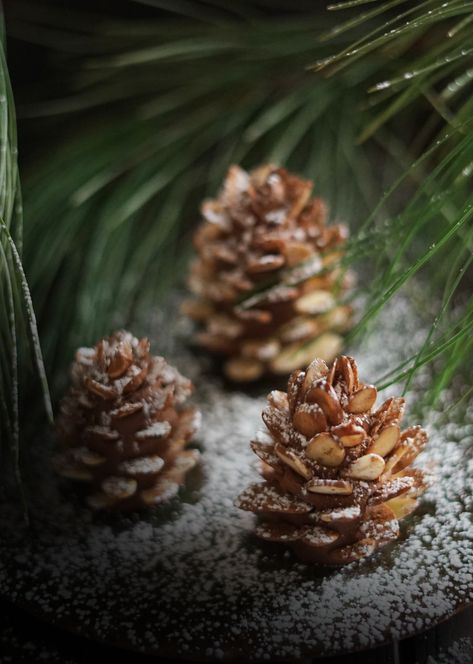 Yuletide Food, Pine Cone Cookies, Chocolate Pine Cones, Edible Pinecones, Pinecone Cookies, Fairy Food, Yule Log, Kwanzaa, Pine Nuts