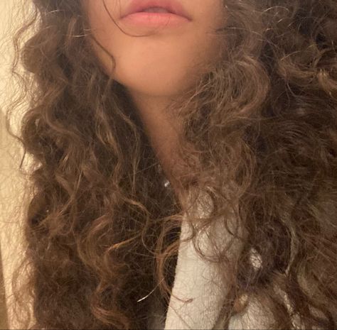 Bushy Brown Hair, Brown Curly Hair Aesthetic, Curly Brown Hair Aesthetic, Frizzy Hair Aesthetic, Ola Core, Caramel Girl Aesthetic, Curly Light Brown Hair, Brown Hair Aesthetic, Cleo Sertori