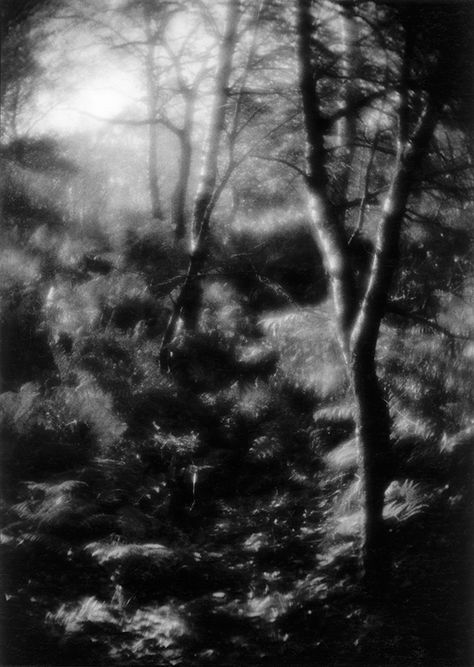 Soft Focus Photography, Medium Format Photography, Photography Sketchbook, Aperture Photography, Large Format Photography, Pinhole Photography, Focus Images, Creative Photography Techniques, Bw Photography