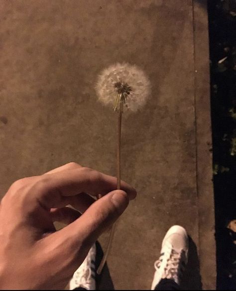 LS UPDATES on Twitter: "… " Louis Tomlinson, Dandelion, On Twitter, Twitter, Instagram