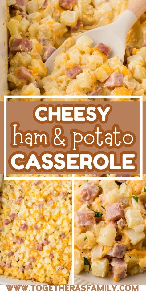 Cheesey Potatoes Ham Casserole, Easy Dinners With Ham, Using Up Leftover Ham, Chunk Ham Recipes, Recipes Using Cubed Ham, Ham Potato Casserole Recipes, Dinner With Leftover Ham, Things To Make With Leftover Ham, Ham And Potato Casserole Crockpot