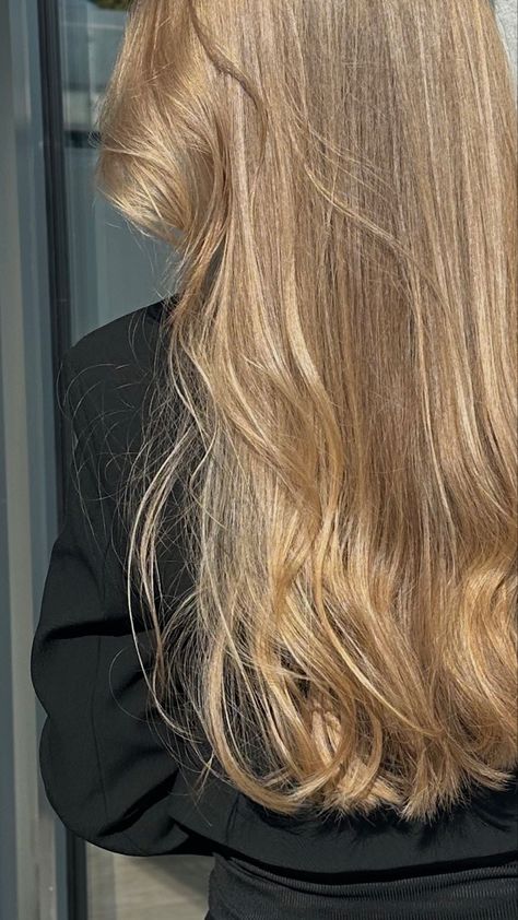 Dark Blonde Honey Hair, Solid Blonde With Shadow Root, Dark Blonde Pale Skin, Soft Golden Blonde Hair, Gold Beige Hair, Oat Milk Blonde, Super Light Brown Hair, Light Honey Blonde Hair, Light Golden Blonde Hair