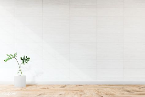 Ruangan Studio, Fig Plant, Dark Grey Walls, Zoom Background, Office Background, Wall Mockup, Palm Leaves Pattern, Red And White Roses, Living Room Background