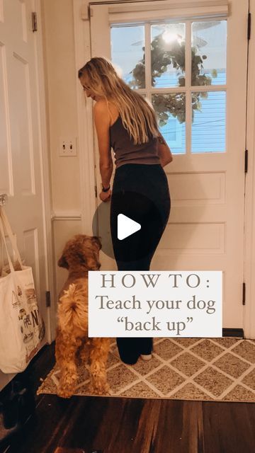 The Good Dog Yorktown on Instagram: "“Back up” is a great trick and it also helps with your dog’s body awareness and coordination! This was real time of my dog learning this for the first time. I love this command for opening doors & when a dog is crowding me or anyone/anything else. This can be a hard one for them to grasp at first so take it really slowly when teaching them! Break it down into really small steps and practice just a few minutes at a time to prevent frustration. We always want learning to be fun for your pup! #dogtraining #balanceddogtraining #positivereinforcement #backup #dogtrick #tricktraining" Tricks To Teach Your Dog, Cool Dog Tricks, Dog Tricks Easy, Teach Dog Tricks, Dog Commands, Dog Tricks, House Training Dogs, Dog Training Advice, Pet Blog