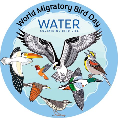 Today is World Migratory Bird Day 2023 (El dia internacional de las aves migratorias). Water is fundamental to sustaining life on our planet. Migratory birds rely on water and its associated habitats—lakes, rivers, streams, ponds, swamps, marshes, and coastal wetlands—for breeding, resting and refueling during migration, and wintering. #worldmigratorybirdday #sustainability #earth #ourplanet #biodiversity #biodiversidad Coastal Wetlands, World Wetlands Day, Rivers Streams, Bird Day, United Nations Environment Programme, Continents And Oceans, Bird Migration, Migratory Birds, Water Life