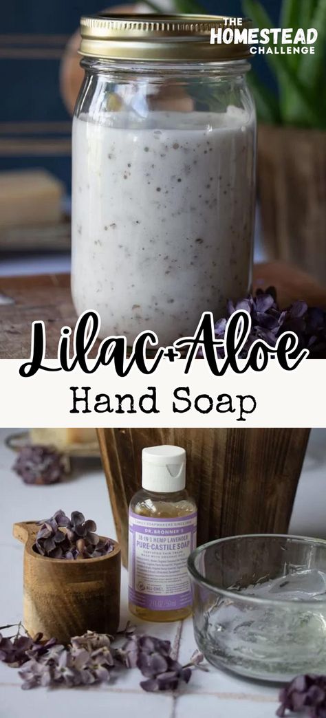 Create your own luxurious Aloe and Lilac Liquid Soap with our easy-to-follow recipe! 🌿🌸 This homemade soap is not only gentle and moisturizing but also infuses the charming fragrance of lilac into your daily routine. Ideal for those who love natural, homemade beauty products. Learn how to blend the soothing benefits of aloe with the delicate scent of lilac for a unique, eco-friendly soap. Perfect as a thoughtful handmade gift. #DIYLiquidSoap #NaturalBeauty #HomemadeSkincare #EcoFriendlyLiving Liquid Soap Recipe, Body Wash Recipe, Homemade Hand Soap, Diy Body Wash, Diy Hand Soap, Aloe Soap, Diy Soap Recipe, Liquid Castile Soap, Soap Making Recipes