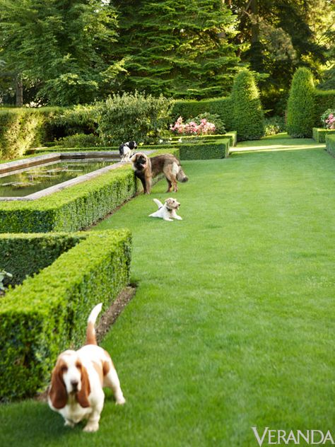 . Veranda Magazine, Formal Gardens, Lake Geneva, Green Garden, Yard Ideas, The Grass, Shade Garden, Dream Garden, Fruit Trees