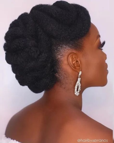 African American Bride Hairstyles, Natural Hair Updo Wedding, Afro Wedding Hairstyles, Natural Hair Wedding, Natural Updo, Black Hair Updo Hairstyles, Black Wedding Hairstyles, Natural Wedding Hairstyles, Natural Hair Bride