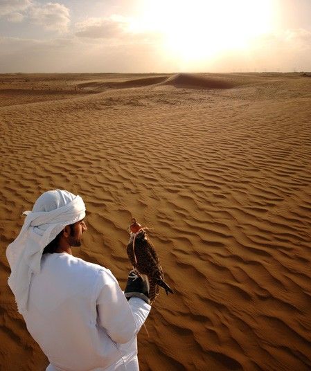 Dubai has maintained its traditions despite rapid modernisation. Falconry in the desert Dubai Destinations, Dubai Tickets, Shopping In Dubai, Dubai Tourism, Dubai Desert, Arab World, Dubai Shopping, Dubai Hotel, Visit Dubai