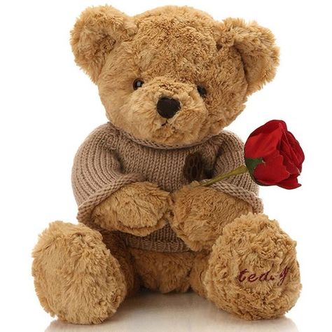 Valentines Bear, Stuffed Teddy Bear, Rose Flower Photos, Teddy Bear Images, Giant Teddy Bear, Giant Teddy, Teddy Bears Valentines, Christmas Teddy Bear, Dog Stuffed Animal