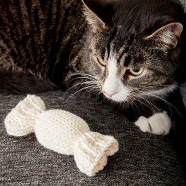 Diy Catnip Toys, Cat Protection, Katt Diy, Candy Toys, Crochet Cat Toys, Homemade Cat Toys, Diy Cat Toys, Knitted Cat, Knitting Patterns Toys