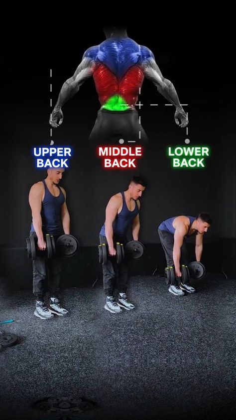 Yes you can hit your full back with dumbbells 💪 The muscles in your upper, mid, and lower back. To target your lower back, the stiff leg deadlift is a great exercise that can be performed with dumbbells. For your mid back, the dumbbell row is an effective exercise that targets your lats. 💪 To target your upper back, including your rear delts and traps, rear delt rows are a great exercise to include in your routine. 💪 By incorporating these exercises into your workout regimen, you can strength Back Workout Bodybuilding, Dumbbell Back Workout, Dumbbell Row, Back Workout Routine, Stiff Leg Deadlift, Home Workout Men, Back Workout Women, Rear Delt, Workout Routine For Men