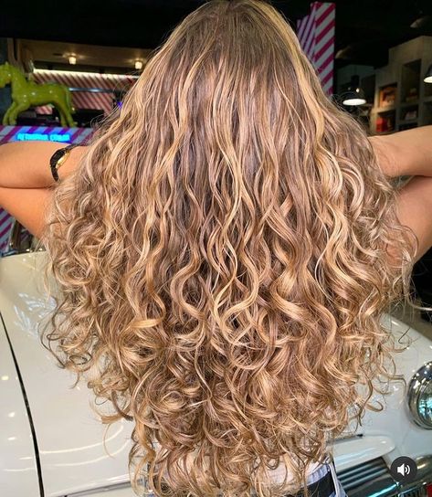 Balayage 2b Hair, Highlight Blonde Curly Hair, Natural Balayage Curly Hair, Highlights For Dirty Blonde Hair Curly, Light Brown Blonde Curly Hair, Honey Blonde Curls Highlights, Blond Highlights Wavy Hair, Blond Curly Highlights, Balayage Hair Curly Natural