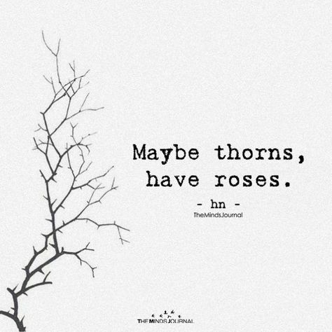 Roses Have Thorns Quotes, Rose Related Quotes, Roses Thorns Quote, Rose Thorns Quotes, Rose And Thorns Quotes, Quotes For Roses, Roses Quotes Instagram, Rose Quotes Poetry, Thorns Quotes