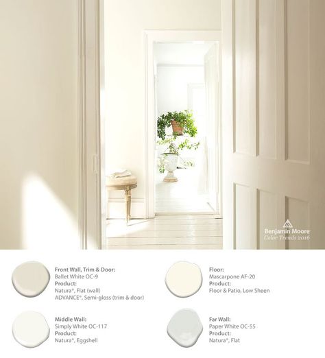 Image result for sherwin williams paperwhite Ballet White, Benjamin Moore White, Neutral Paint Colors, Benjamin Moore Colors, Benjamin Moore Paint, White Paint Colors, Neutral Paint, Simply White, Favorite Paint