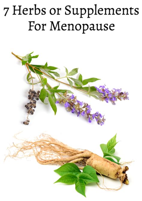 7 Herbs or Supplements For Menopause - Prime Women | An Online Magazine Menopausal Herbs, Menaupose Natural Remedies, Best Herbs For Hot Flashes, Pre Menopausal Herbs, Post Menopausal Herbs, Chasteberry Benefits, Herbal Business, Medicinal Herbs Remedies, Diy Herbal Remedies