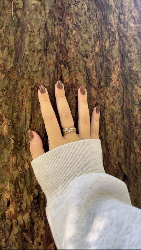 brown nails nail inspo autumn nails fall nail ideas tree nature granola girl crunchy aesthetic granola aesthetic Granola Girl Nail Ideas, Granola Nails Aesthetic, Outdoorsy Nails, Granola Nails, Granola Girl Nails, Crunchy Granola Aesthetic, Crunchy Aesthetic, Autumn Nails Fall, Granola Aesthetic