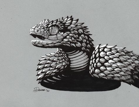 Spiny Bush Viper, Viper Drawing, Viper Tattoo, Bush Viper, Viper Snake, Dragon Bird, Snake Coloring Pages, Snake Dragon, Snake Drawing