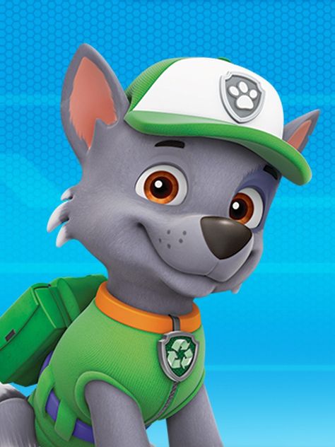 Rocky/Gallery | PAW Patrol Wiki | Fandom Paw Patrol Personajes, Baby Walrus, Booby Bird, Paw Patrol Rocky, Male Deer, Dog Tracker, Disney Cars Party, Baby Dolphins, Baby Octopus