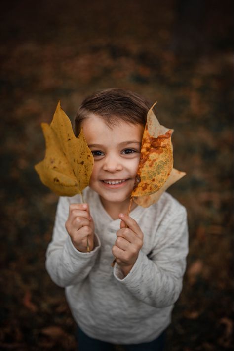 Fall Toddler Photoshoot Ideas, Toddler Fall Photos, Kids Fall Pictures, Toddler Portrait Photography, Fall Toddler Pictures, Simple Fall Photoshoot Ideas, Toddler Outdoor Photoshoot, Fall Toddler Photoshoot, Fall Photoshoot Kids