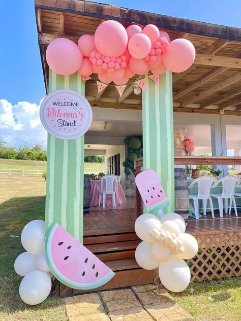 Watermelon Birthday Decorations, Watermelon Themed Birthday Party, Watermelon Birthday Party Theme, Baby Birthday Photoshoot, Watermelon Birthday Parties, Fruit Birthday, Baby Birthday Themes, Baby Rosa, 1st Birthday Party Decorations