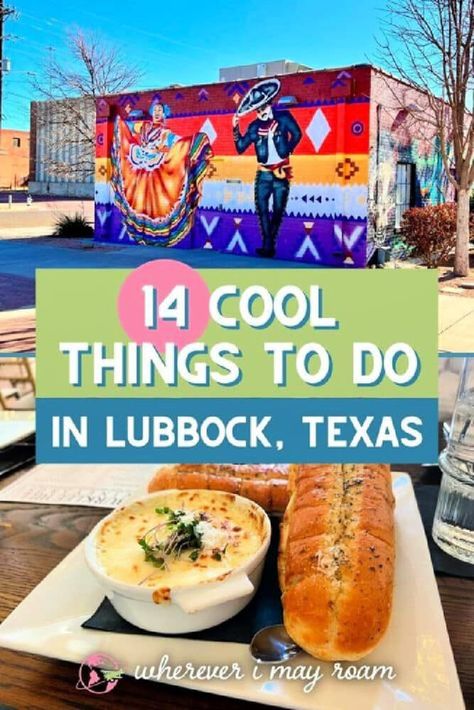 Woodhouse Day Spa, Family Vacations In Texas, Chicken Bar, Texas Summer, Southern Travel, Texas Places, Texas Vacations, Road Trip Places, Art Live