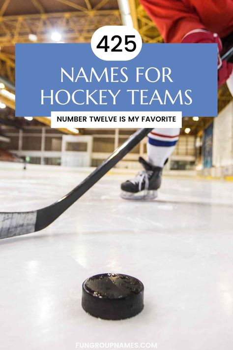 425 Great Names For Hockey Teams! Crossfit Team Names, Hockey Team Names, Dog Hero, Hockey Kids, Youth Hockey, Great Names, Hockey Team, Team Blue, Ice Breakers