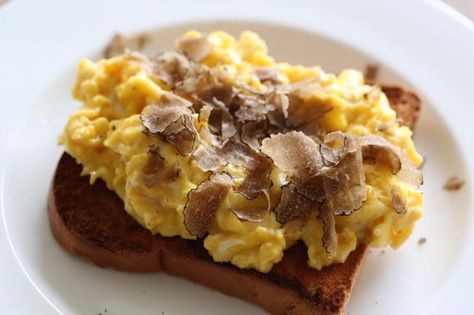 #laurelpine #truffles Soft scrambled truffle infused eggs on toasted brioche topped w/ truffle shavings, gnom. Truffles from @MikuniWild. www.enjoyfoiegras.com Coddled Eggs, Eggs And Toast, Duck Fat Fries, Truffle Recipes, Bacon Waffles, Easy Truffles, Truffles Recipe, Breakfast Burger, Truffle Butter