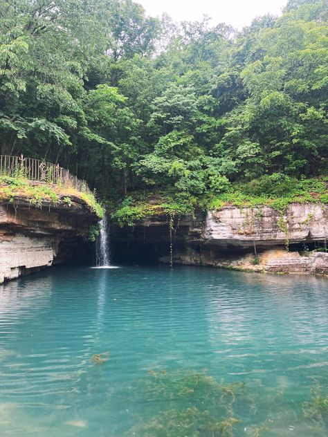 and we’re on the road again- how shocking?! we spent the morning hiking and taking a dip in this little swimming hole that we had all to ourselves, it was so lovely. midwest travel. roadtrip. adventure travel. swimming hole. hiking trail. Honk Shoo, Dogwood Canyon, Own A House, Hannah Grace, Swimming Hole, Midwest Travel, Food Hub, Waterfall Hikes, Background Check